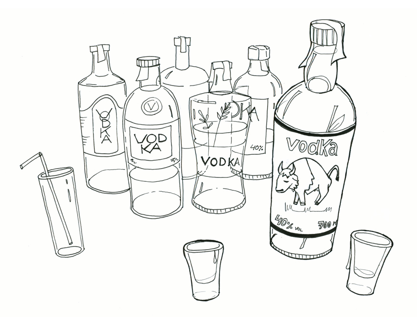Al llegar nos dio la bienvenida una mesa cubierta de botellas de vodka. Nuestra anfitriona hablaba inglés perfectamente (¡qué alivio!) y repetía alegremente que...